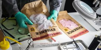 Beer Can Nails 1981 Murder Forensic technician handling evidence bags on a lab table