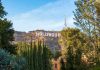 Hollywood Money Is FLEEING America Hollywood Sign on hillside framed by trees