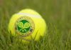 Highest-Paid Black Female Athlete Says ‘It’s HARD’ Tennis ball on grass