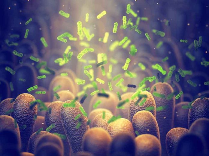 1495084595 featured image Green bacteria among intestine lining cells, microscopic view.