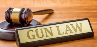gun law