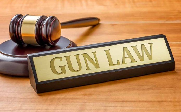 431719678 featured image gun law
