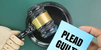 Gavel and plea guilty note being held.
