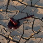 Gavel on cracked, dry ground