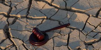Gavel on cracked, dry ground