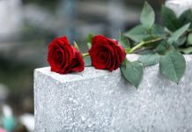 Red roses on a gray stone surface