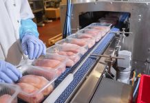 Packaged chicken breasts on a factory conveyor belt