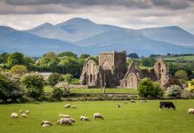 Ruins sheep grazing mountains and cloudy sky