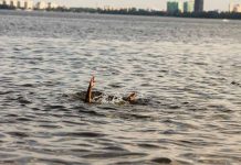 Persons hand reaching out from the water