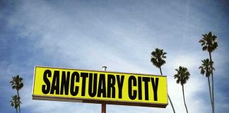 Sanctuary City sign with palm trees and sky