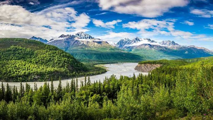1232474224 River winding through forest with mountains in background.