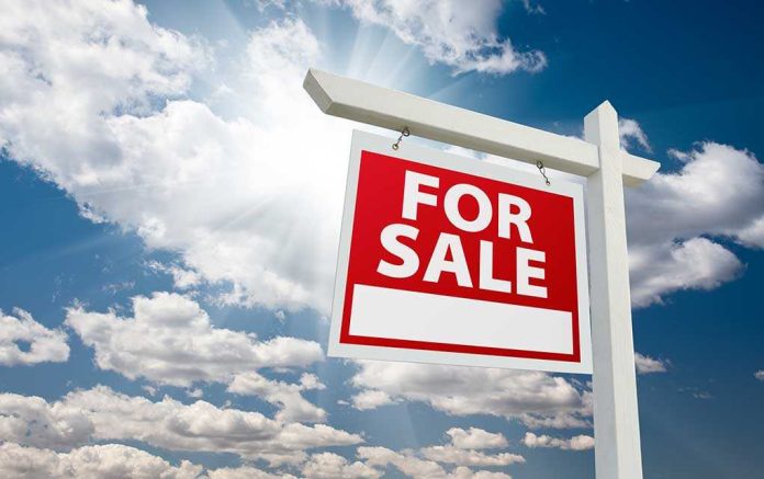 shutterstock_56496355.jpg for sale