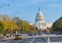 View of the Capitol building in Washington D.C. with autumn trees lining the street