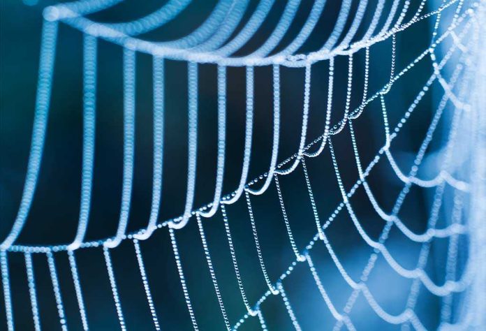 shutterstock_131341070.jpg Close-up of a spider web adorned with dew drops against a blue background