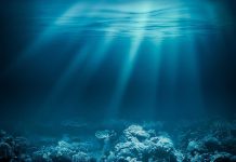 Underwater view of a coral reef with light rays penetrating the water