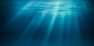 Underwater view of a coral reef with light rays penetrating the water