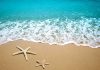 Two starfish on a sandy beach with ocean waves in the background