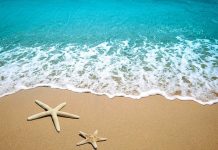 Two starfish on a sandy beach with ocean waves in the background